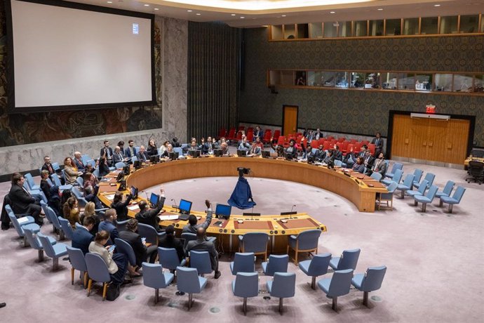Reunión del Consejo de Seguridad de la ONU 