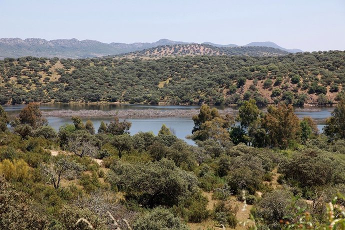 Archivo - Embalse de Orellana
