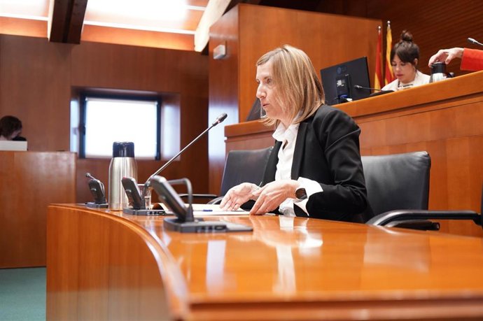 La directora general de Inclusión y Voluntariado del Gobierno de Aragón, María Charte.