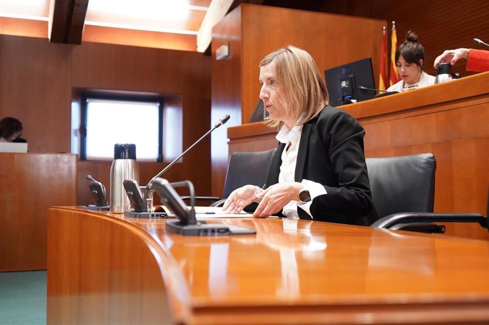 La directora general de Inclusión y Voluntariado del Gobierno de Aragón, María Charte.