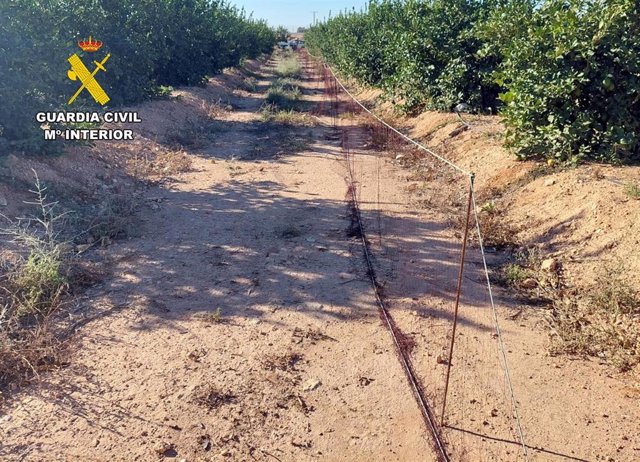 La Guardia Civil investiga a un cazador por la captura masiva e ilícita de liebres en Torre Pacheco Imagen de la red que usaba presuntamente el cazador