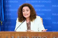 Por Andalucía afirma que el Presupuesto de 2024 refleja la "debilidad" y "falta de ambición" del Gobierno de Moreno