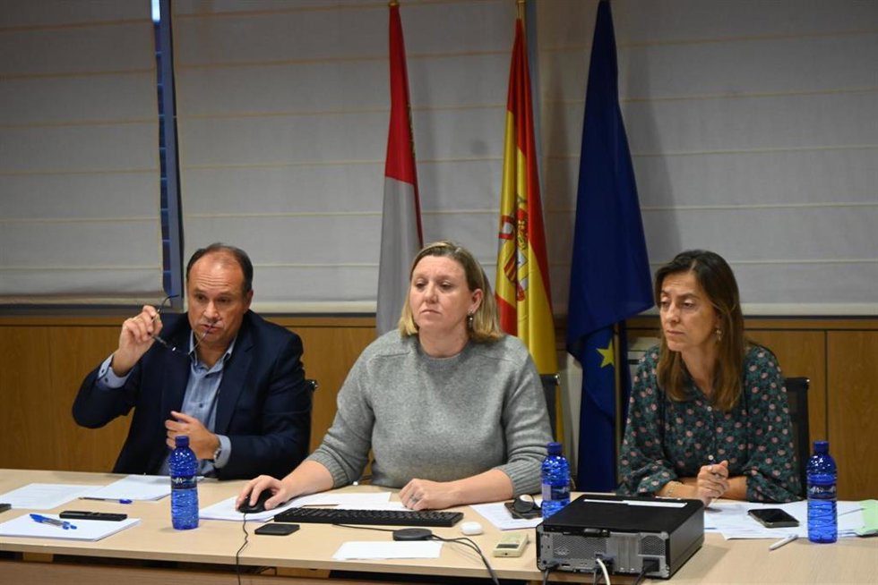 La consejera de Familia e Igualdad de Oportunidades, Isabel Blanco, en el centro, durante el encuentro telemático convocado por el ministerio de Inclusión.