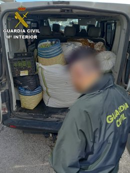 Un agente de la Guardia Civil inspecciona el interior de una furgoneta con grandes bolsas de aceituna.
