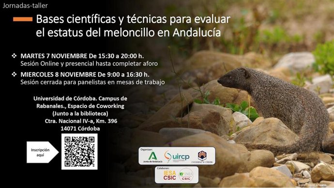 [L Comunicacion.Prensa.Csmaea] Nota De Prensa  La Junta Organiza Unas Jornadas Técnicas Para Estudiar La Situación Del Meloncillo En Andalucía