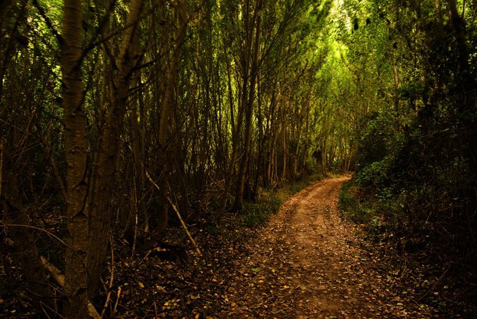El Parque Natural del Barranco del Río Dulce.