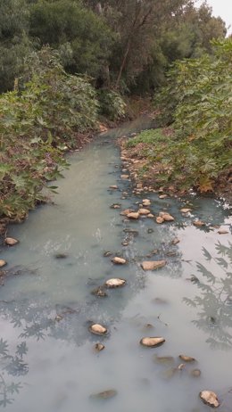 Verdemar Ecologistas en Acción alerta de vertidos en el Arroyo de Los Charcones en La Línea de la Concepción (Cádiz)