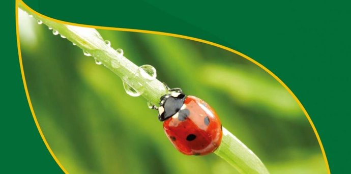 Uso de fitosanitarios para disponer de alimentos saludables. Mariquita