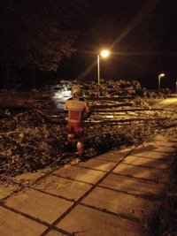El fuerte viento provoca 79 incidencias, aunque ninguna grave