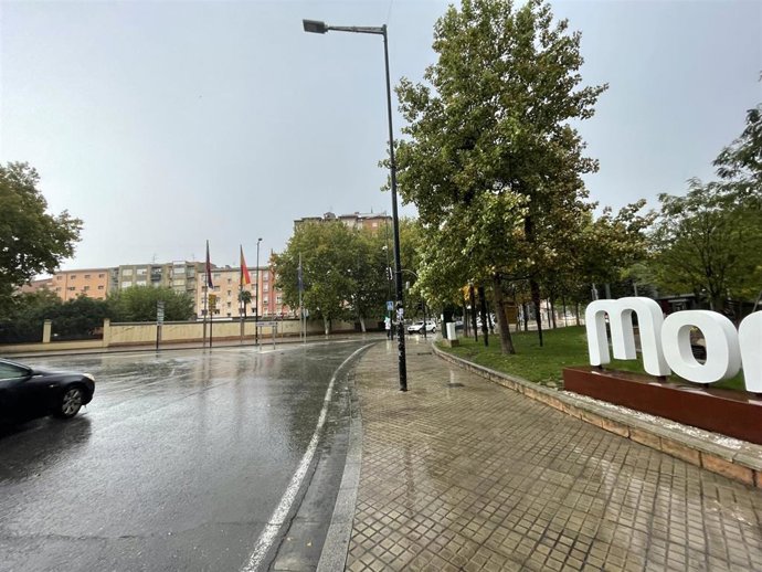 Monzón (Huesca) inicia este viernes una nueva campaña para ahuyentar a los estorninos