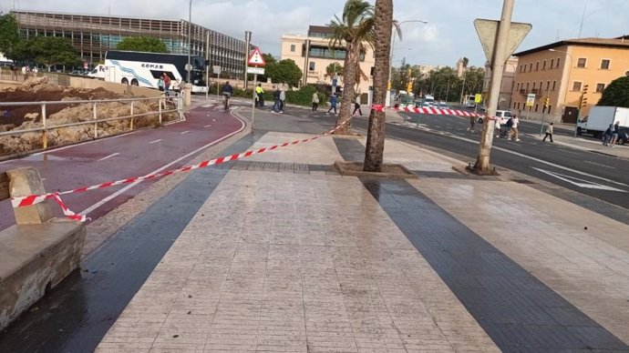 Paso peatonal del Paseo Marítimo de Palma cerrado.