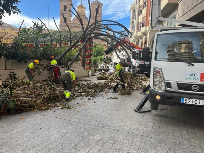Imagen de las labores de retirada de las ramas del ficus, caídas por las fuertes rachas de viento