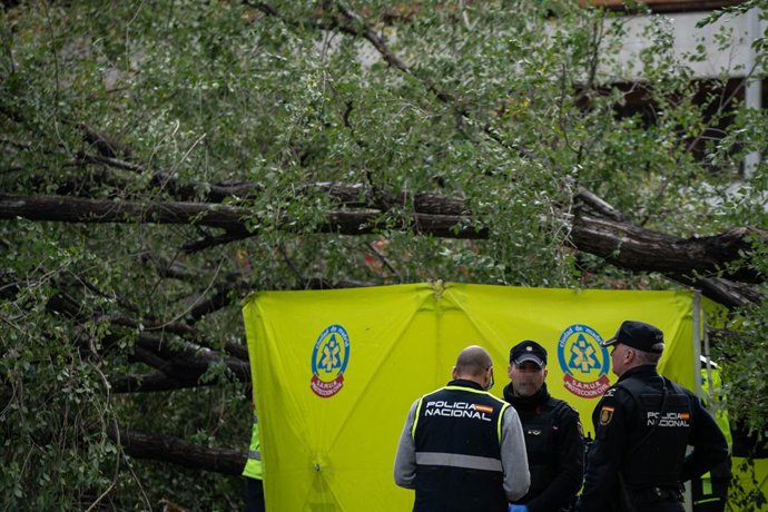 Tres agentes de Policía Nacional junto a una carpa del Samur, al lado del árbol que ha caído sobre un paseo de peatones por la borrasca Ciarán, a 2 de noviembre de 2023, en Madrid (España). Una mujer de 23 años ha muerto y otras cinco han sufrido heri