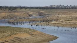 Imagen de archivo de un río andaluz con déficit de agua.