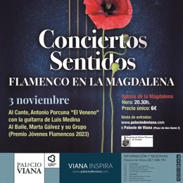 Cartel del espectáculo 'Flamenco en la Magdalena'.