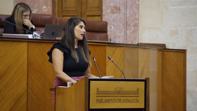 La secretaria general del Partido Popular de Córdoba y portavoz de la comisión de Sostenibilidad, Medio Ambiente y Economía Azul del Parlamento andaluz, Araceli Cabello