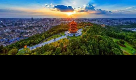 Comunicados Internacional