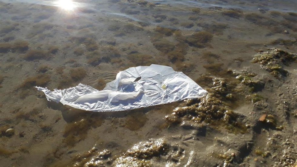 Plástico en el mar