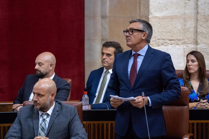 Archivo - El portavoz del Grupo Parlamentario Vox, Manuel Gavira, en una foto de archivo en el Pleno del Parlamento andaluz.