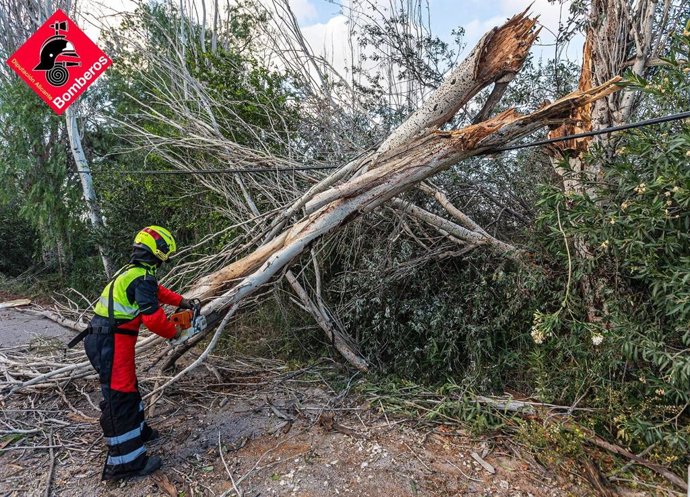 Intervención del Consorcio Provincial de Bomberos de Alicante a causa del fuerte viento.