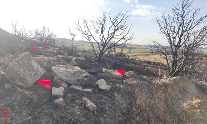 Archivo - Punto de inicio del incendio de Artajona.