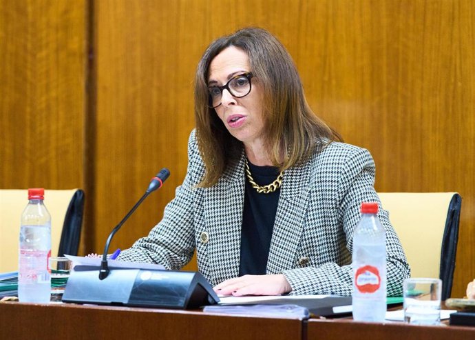 La consejera de Fomento, Articulación del Territorio y Vivienda, Rocío Díaz, en comisión parlamentaria.
