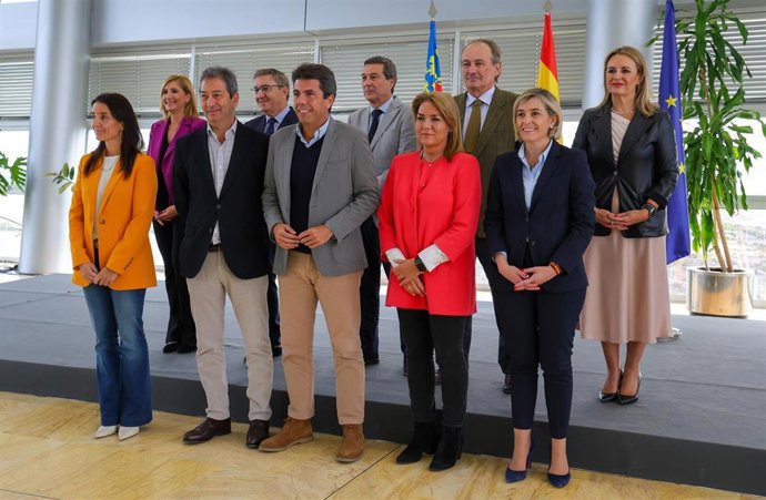 Pleno del Consell en Alicante
