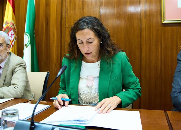 La consejera de Inclusión Social, Juventud, Familias e Igualdad, Loles López, comparece en comisión parlamentaria.