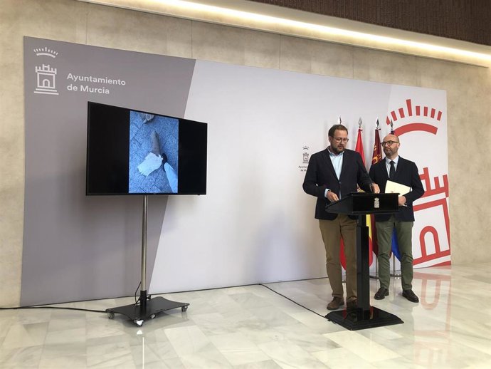 José Guillén, concejal de Desarrollo Urbano y Ciudad Inteligente; acompañado de José Francisco Muñoz Moreno, concejal de Movilidad, Gestión Económica y Contratación, muestra una de las ramas del ficus caídas este jueves, 2 de noviembre