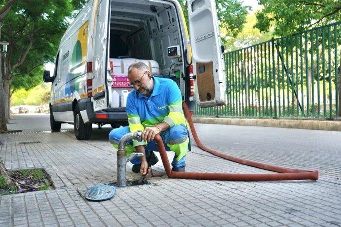 Los trabajos del plan de choque 'Palma a Punt' en el sector 5-6