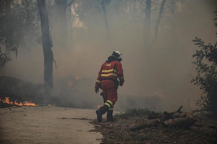 Entorno del incendio de Montitxelvo