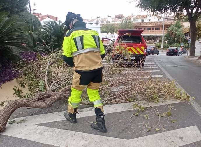 El registro de intervenciones del Cuerpo de Bomberos de Benalmádena ha apuntado nueve colapsos totales de árboles, una decena con importantes fracturas y seis que han dejado en la calzada o aceras abundantes restos de ramas.