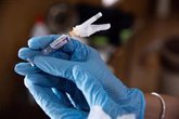 Foto: Las nuevas vacunas contra la gripe B protegerán contra múltiples cepas de influenza y durarán más que las actuales