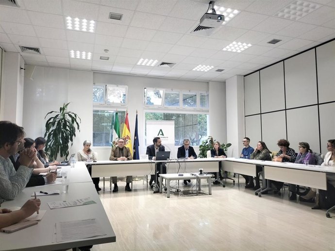 La Junta de Andalucía celebra una webinar sobre los Retos y avances del Plan Estratégico Andaluz para el Abordaje de las Hepatitis Víricas.