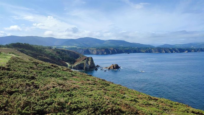 Archivo - Cabo Busto