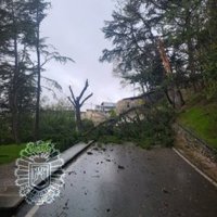 Gestionados 168 incidentes producidos por las fuertes rachas de viento en Castilla y León