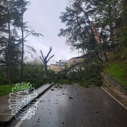 Emergencias gestionadas por el 112 de Castilla y León este sábado