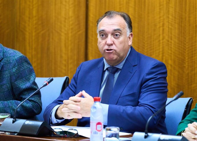 El consejero andaluz de Turismo, Cultura y Deporte, Arturo Bernal, en comisión parlamentaria. (Foto de archivo).
