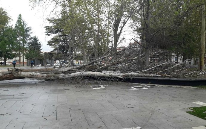 Parque de los Jardinillos de Palencia cerrado