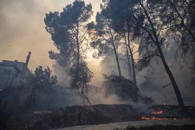 Una zona afectada por el fuego, a 3 de noviembre de 2023, en Ador, Valencia, Comunidad Valenciana (España). El incendio forestal declarado ayer, 2 de noviembre, en la localidad valenciana de Montitxelvo ha dejado 2.000 hectáreas quemadas y una situación d