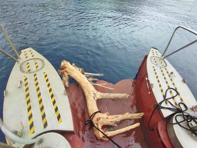 Residuos retirados de costas baleares por el servicio de limpieza del litoral en la temporada 2023. Imagen de Archivo.