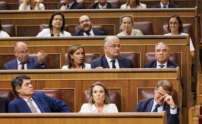 Archivo - Bancada del PP durante la segunda votación de la investidura del líder del Partido Popular