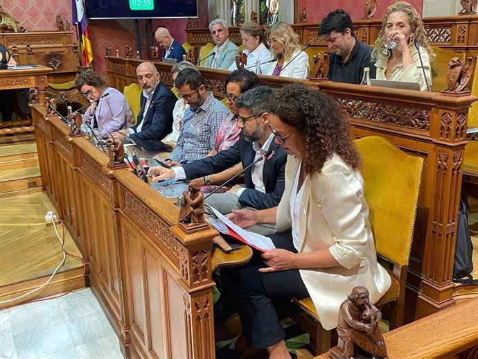 La portavoz del PSIB en el Consell de Mallorca, Catalina Cladera, interviene durante una sesión plenaria.