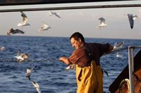 ONG piden a la UE un Reglamento de Restauración de la Naturaleza "efectivo" ante la crisis climática y de biodiversidad