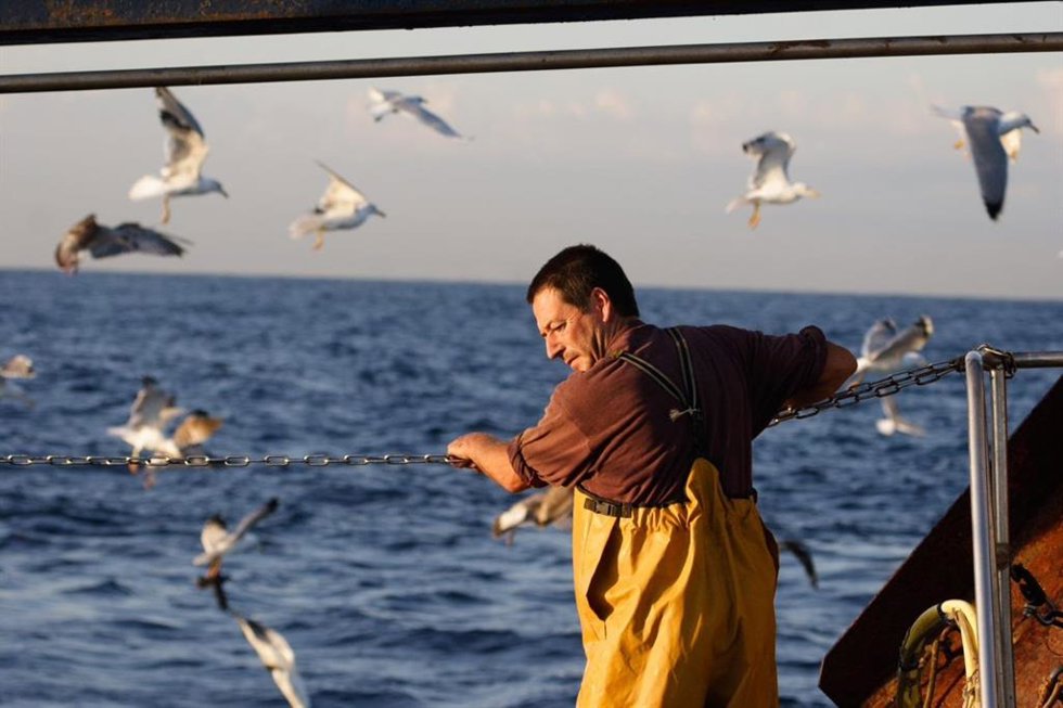 Archivo - La ONG SEO/BirdLife inaugura en la Lonja de Ribeira (A Coruña) la exposición fotográfica 'Las aves, nuestros ojos en el mar'.
