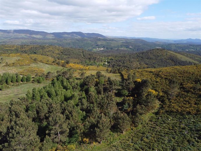 Región de Carballedo, municipio afectado por el incendio ocurrido en 2017 en Cerdedo-Cotobade (Pontevedra).