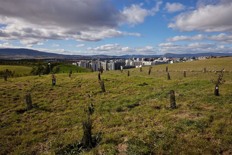 Imagen del 'Bosque Olímpico Español de Pamplona'