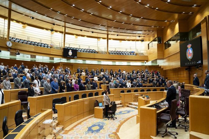 Vista general de un minuto de silencio por las víctimas de la violencia de género, antes del inicio de una sesión plenaria en el Senado, a 17 de octubre de 2023, en Madrid (España). Durante el pleno del Senado, el Partido Popular ha expresado su oposici