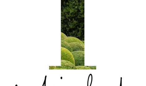 Comunicados Internacional