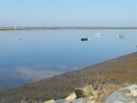 Greenpeace y Ecologistas denuncian en el Supremo el plan hidrológico del Tinto-Odiel-Piedras (Huelva) por "insostenible"